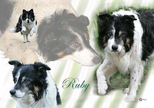 Ruby