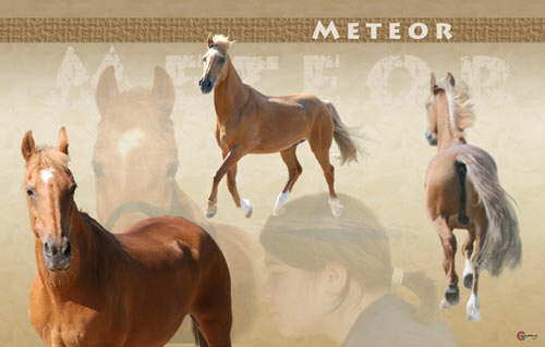 Meteor